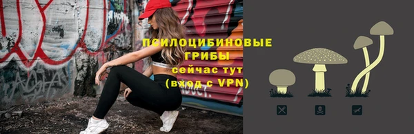 стаф Алексеевка