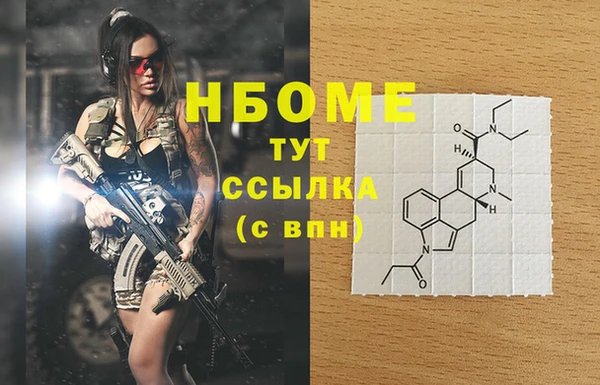 крисы Абаза