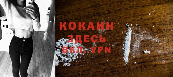крисы Абаза