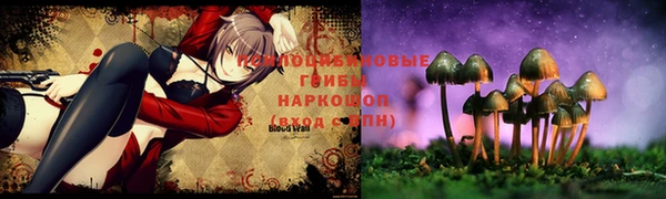 стаф Алексеевка