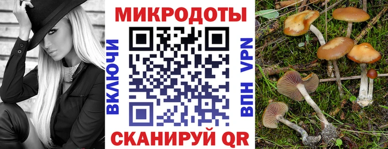 что такое наркотик  Яхрома  Псилоцибиновые грибы Psilocybine cubensis 