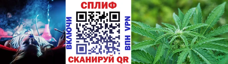 Бошки Шишки White Widow Яхрома